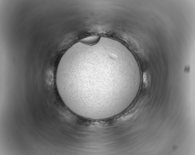 X0000102361203200808151805