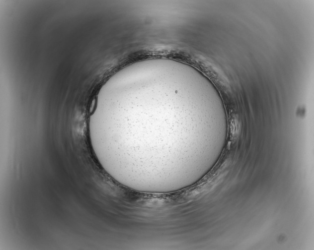 X0000102361204200808151805