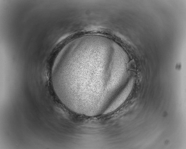 X0000102361206200808151805