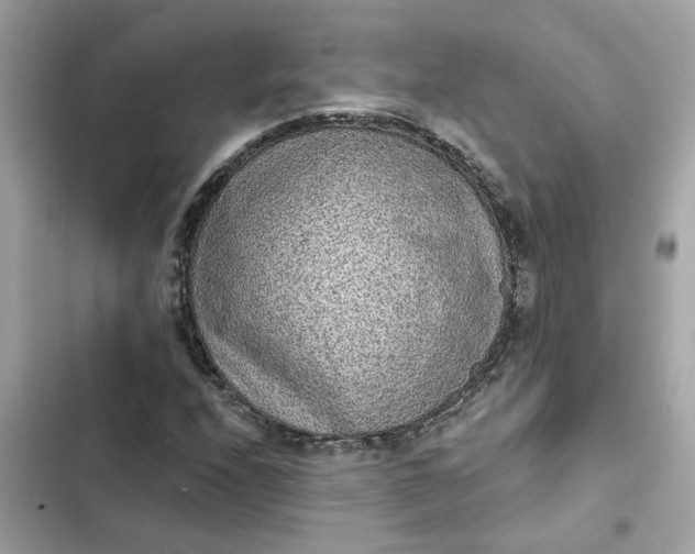 X0000102361208200808151805