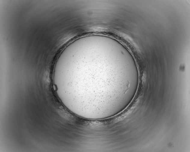 X0000102361209200808151805