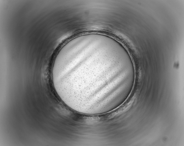 X0000102361210200808151805