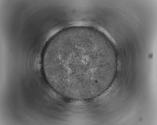 X0000102361213200808151805