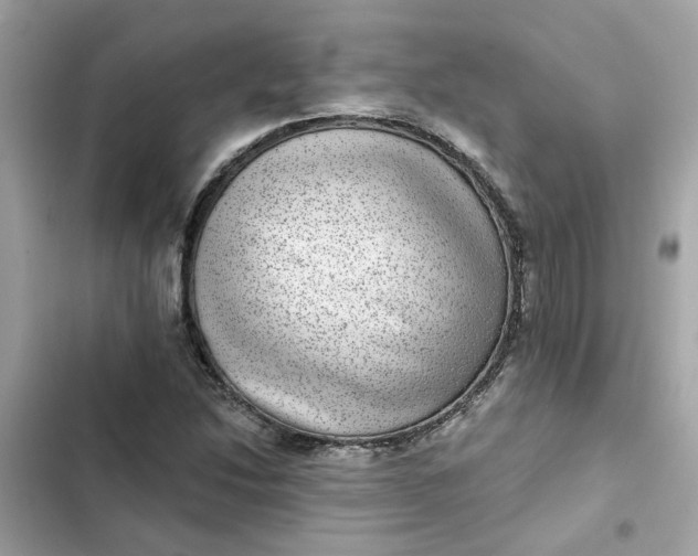 X0000102361214200808151805