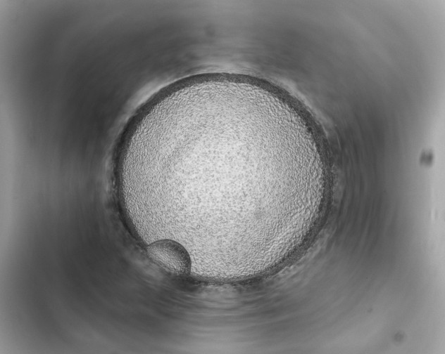 X0000102361215200808151805