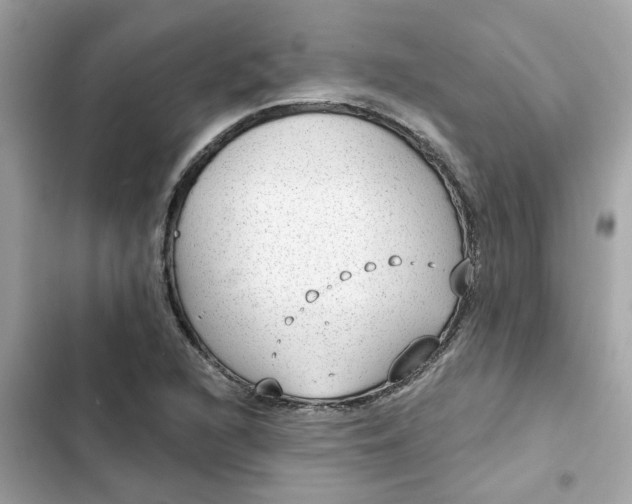 X0000102361216200808151805