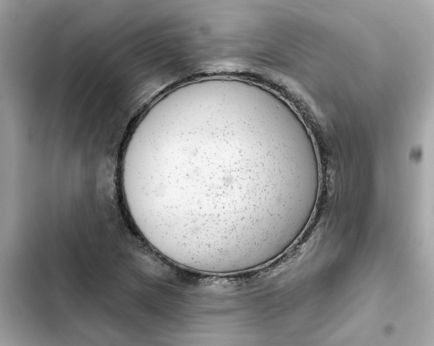 X0000102361217200808151805