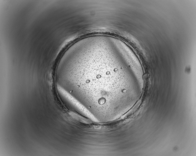 X0000102361218200808151805