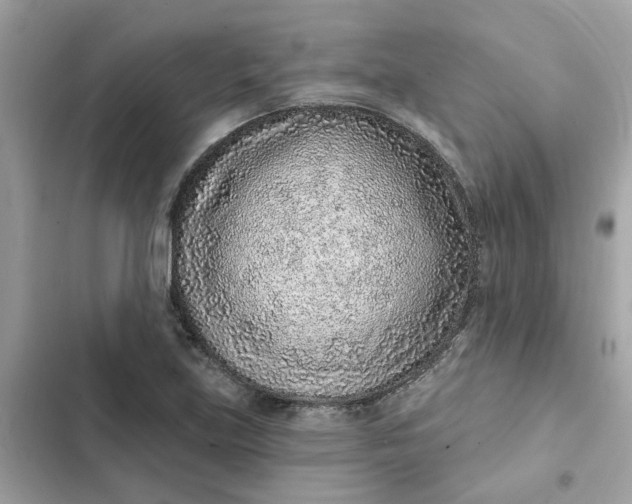 X0000102361219200808151805