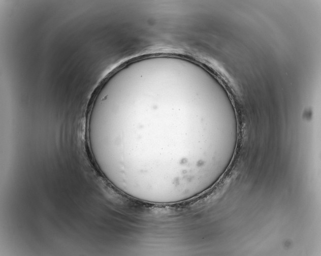 X0000102361220200808151805