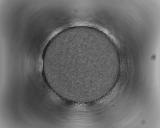 X0000102361221200808151805