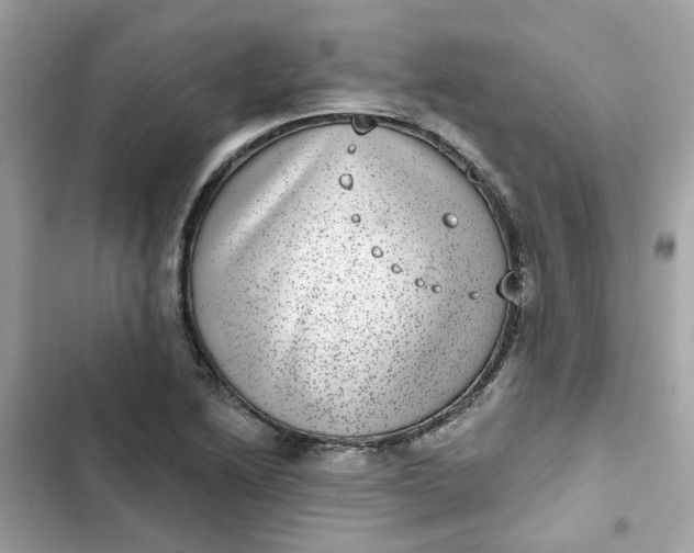 X0000102361222200808151806