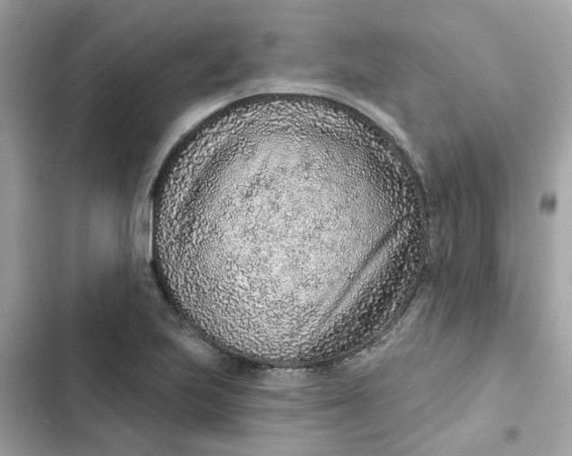 X0000102361223200808151806