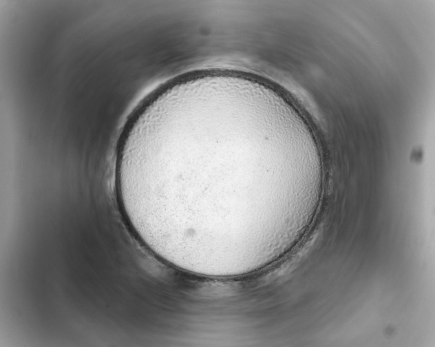 X0000102361224200808151806