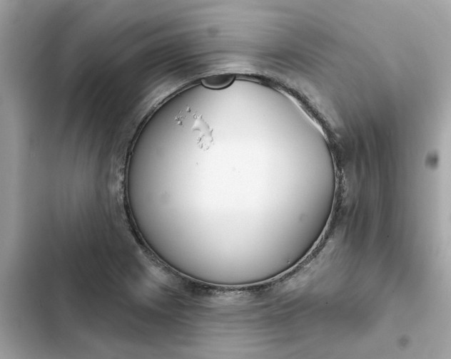 X0000102361225200808151806