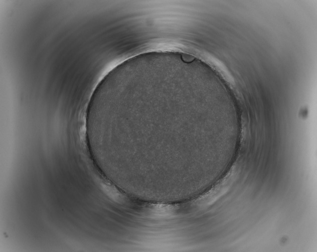 X0000102361226200808151806