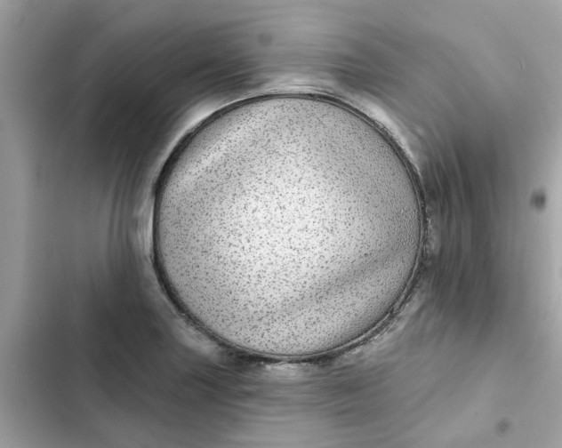 X0000102361227200808151806