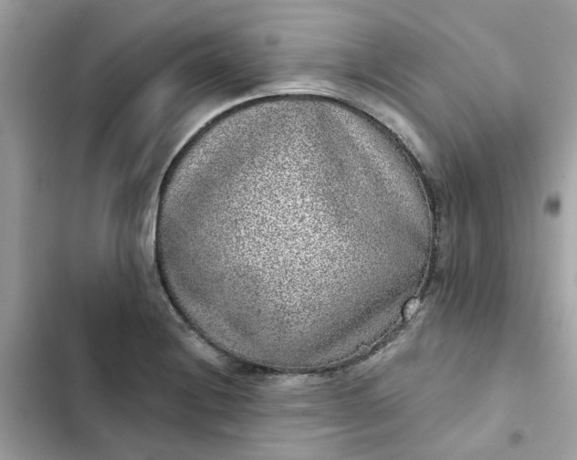 X0000102361228200808151806