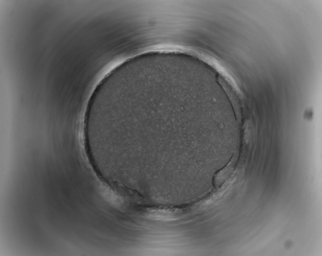 X0000102361229200808151806