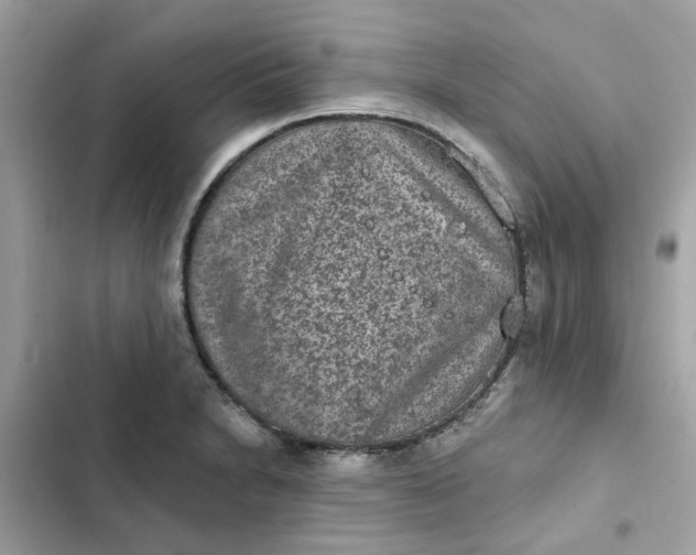 X0000102361230200808151806