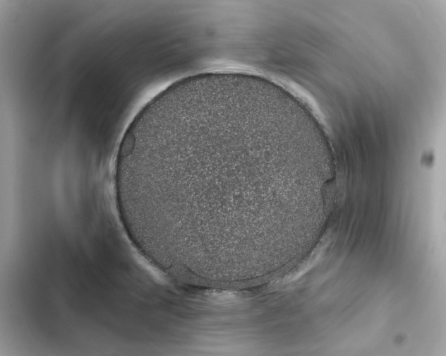 X0000102361231200808151806