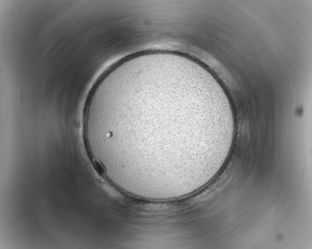 X0000102361232200808151806