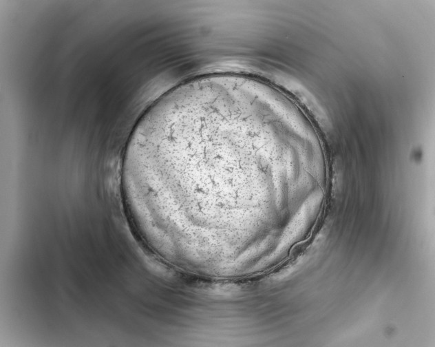 X0000102361233200808151806