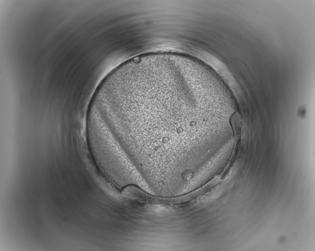 X0000102361234200808151806