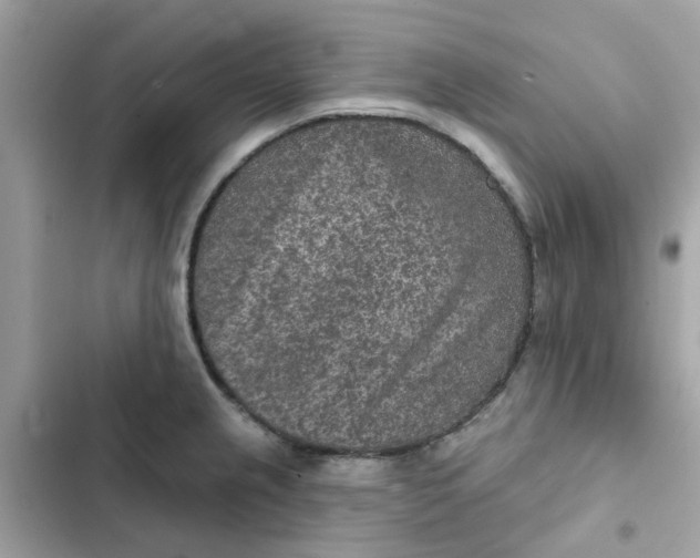 X0000102361237200808151806