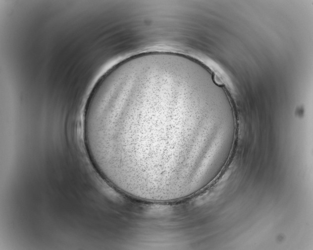 X0000102361238200808151806