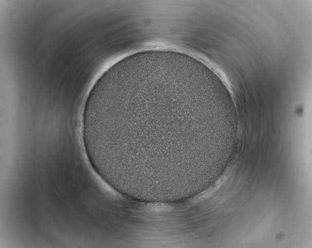 X0000102361239200808151806