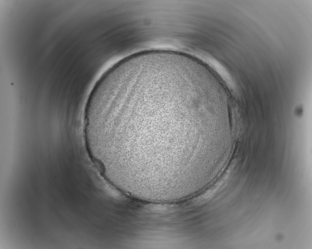 X0000102361240200808151806