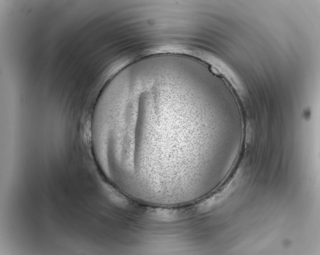 X0000102361241200808151806