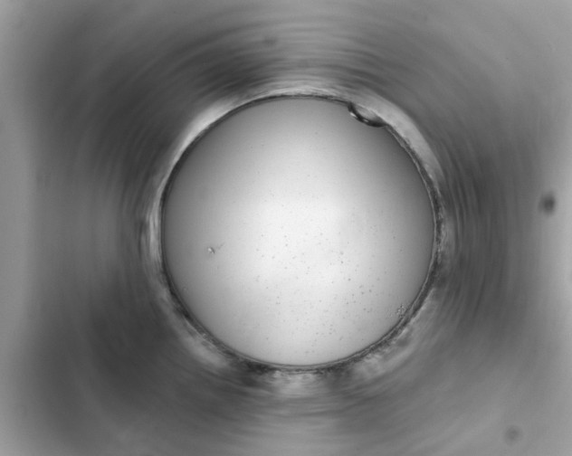 X0000102361242200808151806