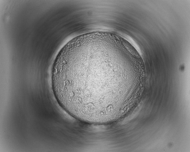 X0000102361243200808151806