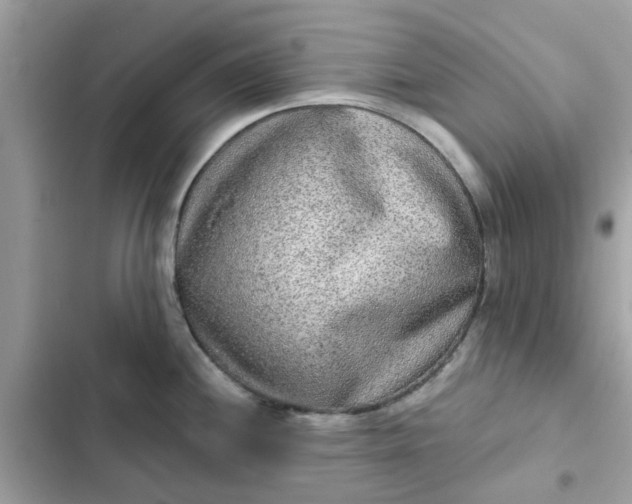 X0000102361244200808151806