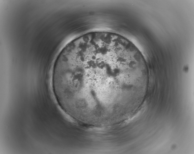 X0000102361245200808151806