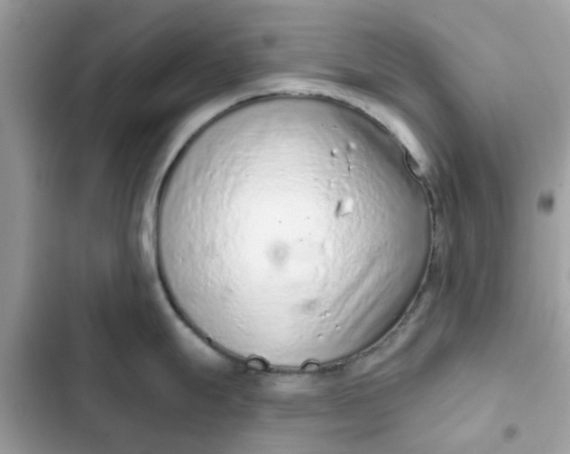 X0000102361247200808151806