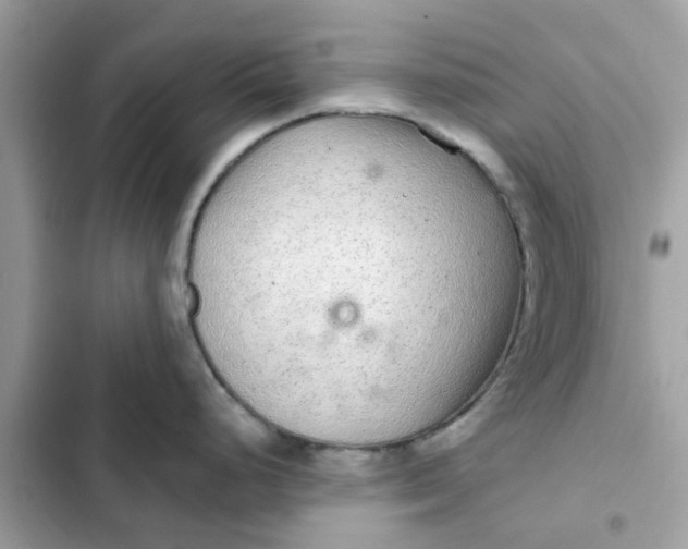 X0000102361248200808151806