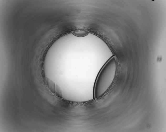 X0000102361249200808151805