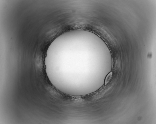 X0000102361250200808151805