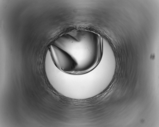 X0000102361252200808151805