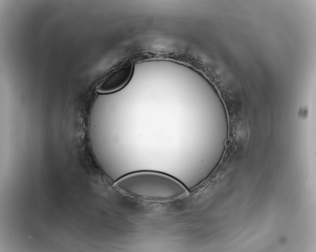 X0000102361253200808151805