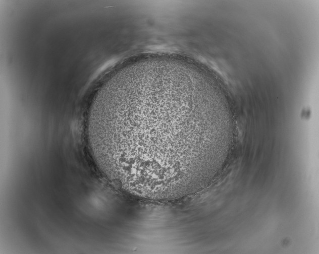 X0000102361254200808151805