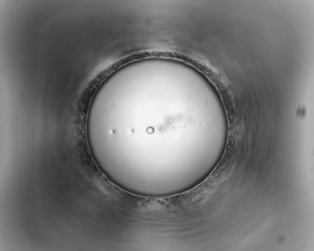 X0000102361255200808151805