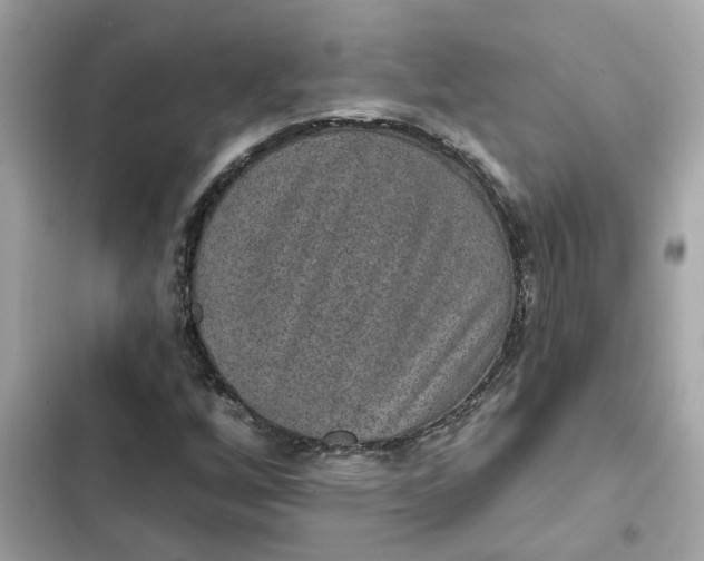 X0000102361256200808151805