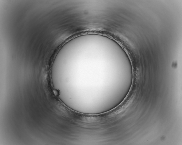 X0000102361257200808151805