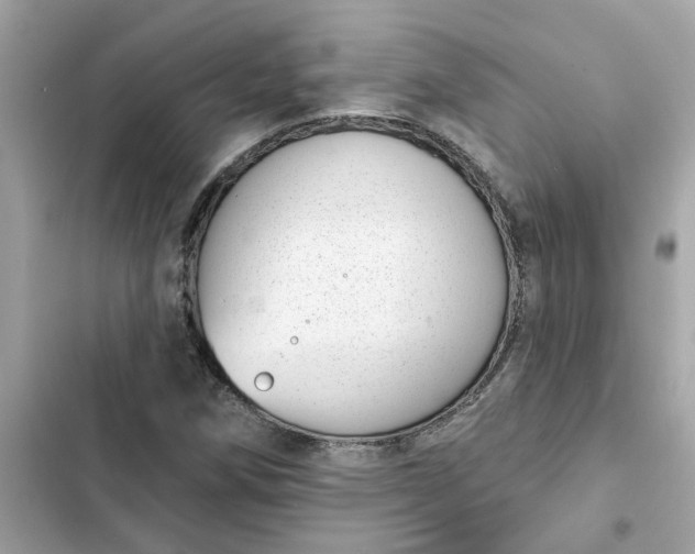 X0000102361258200808151805