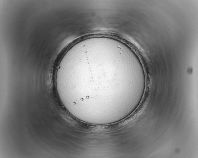 X0000102361259200808151805