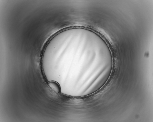 X0000102361260200808151805